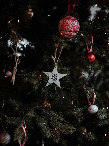 ornament shallow focus photo of white star hanging decor christmas tree