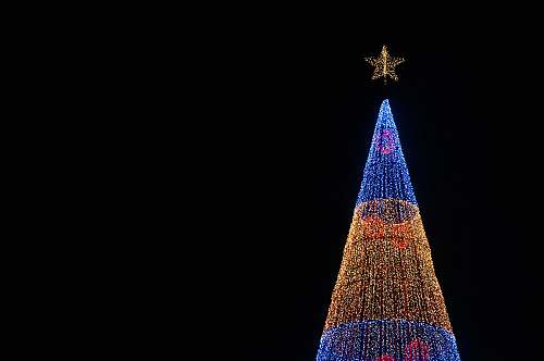 portugal lighted Christmas tree under black sky madeira island
