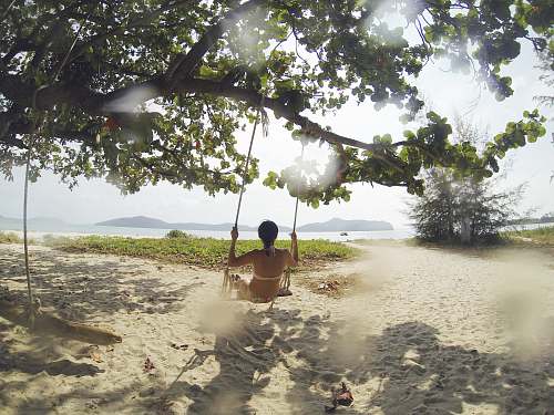 summer woman sitting on swing under green tree facing body of water at daytime thailand