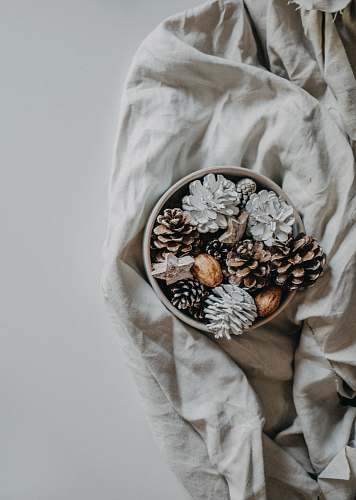 christmas top view of succulent pine cone