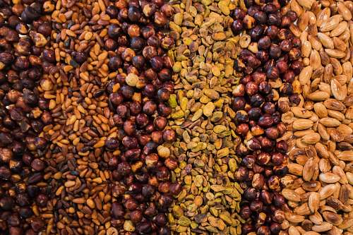 plant assorted seed lot produce