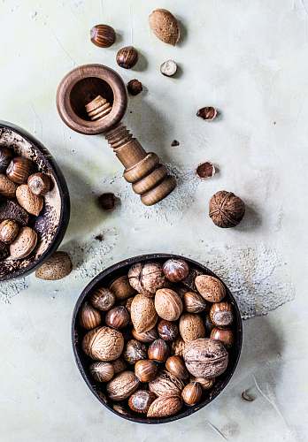 plant brown assorted nuts nut