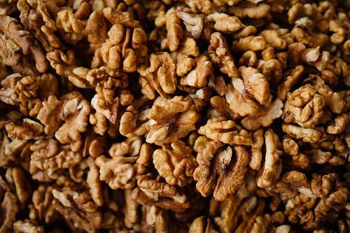 nut brown nuts walnut