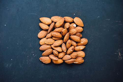 plant brown nuts on black surface flora