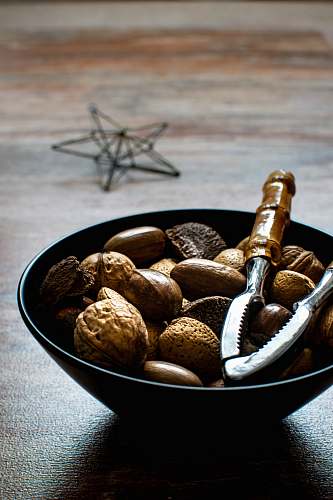 plant brown nuts vegetable