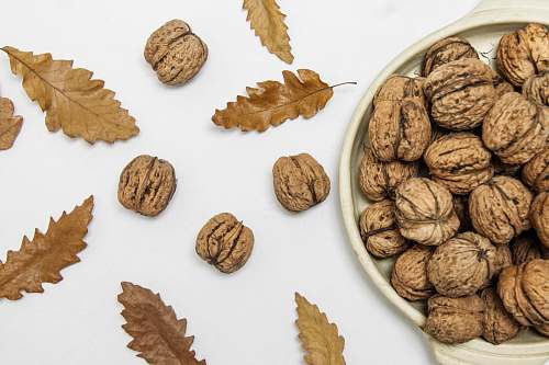 flora brown walnuts on beige ceramic bowl leaf