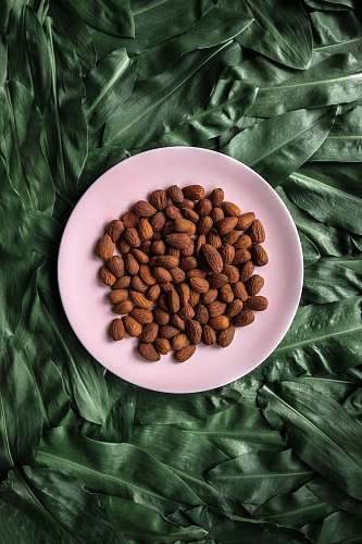 plant brown walnuts on white ceramic plate vegetable