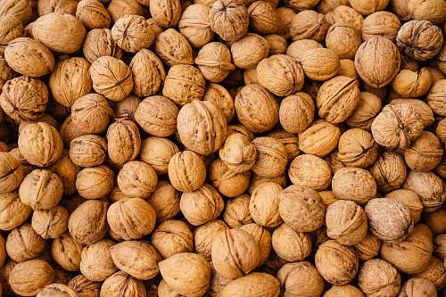 nut closeup photography of walnuts walnut