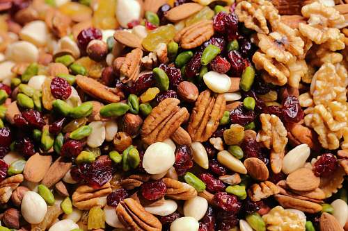 plant cooked beans vegetable