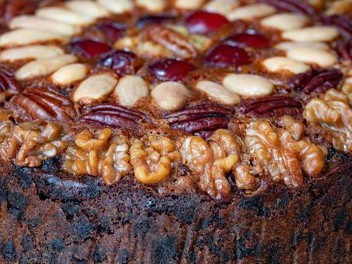 plant selective focus photography of chocolate cake grain