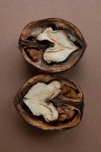 nut sliced nuts plant