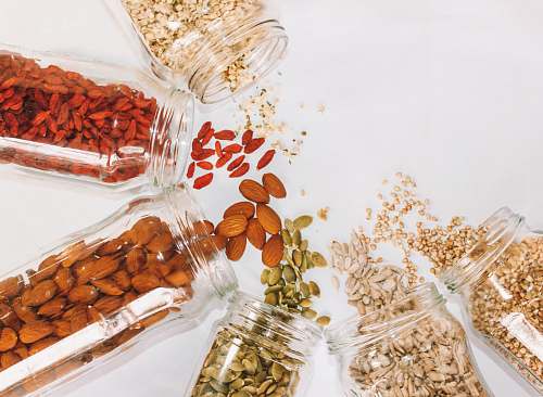 plant variety of assorted-color beans vegetable