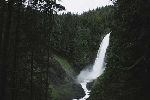 waterfall waterfalls surrounded by trees water