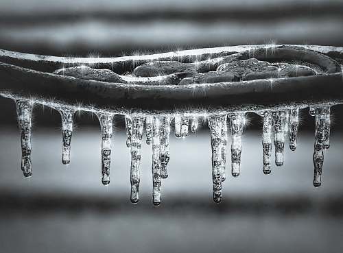 nature grayscale photography of water drops ice outdoors