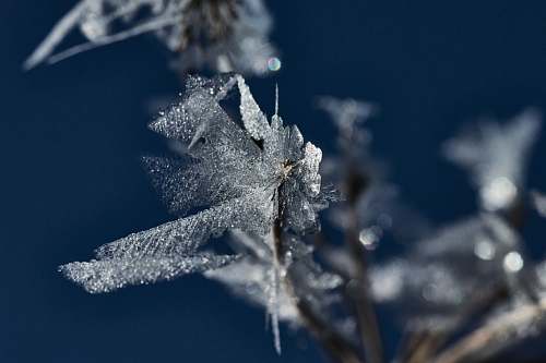 nature ice flakes outdoors