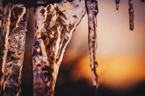 outdoors icicles during golden hour nature