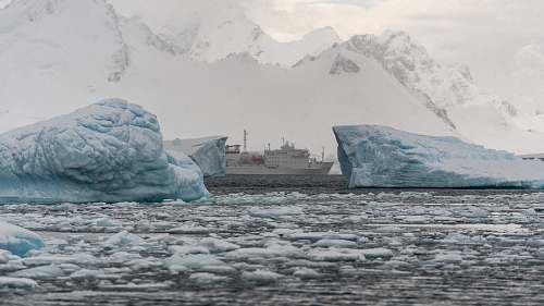 outdoors white cruise ship on water near icebergs during daytime nature