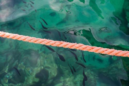 water photo of orange rope beside green body of water rope