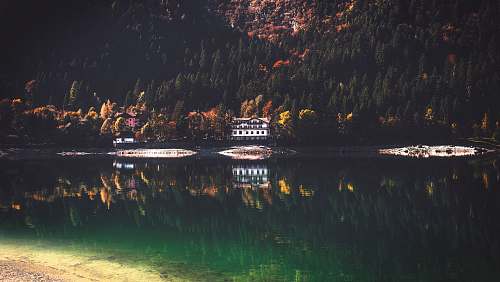 lake wooden house near mountain with trees and lake at daytime trees