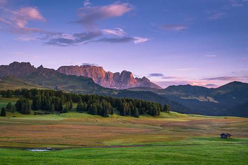 grassland forest under blue sky grass