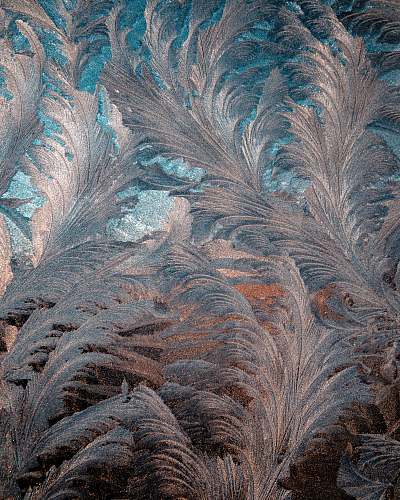 ice blue and gray floral cloth outdoors