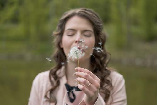 female woman blowing dandelion flower human