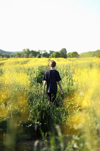 people boys walking in yellow flower field during dayitme boy
