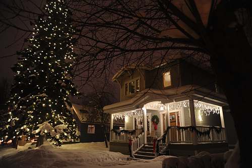 tree pine tree cover by string lights beside house ornament