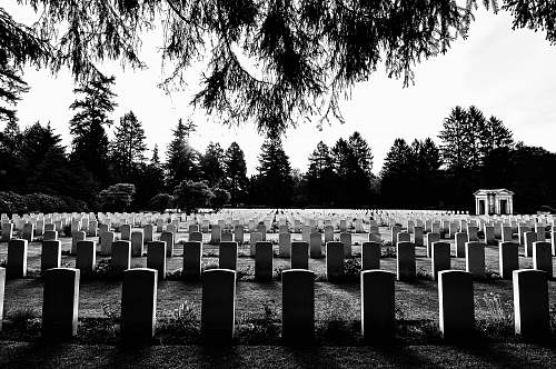 tomb grayscale photography of cemetery hamburg
