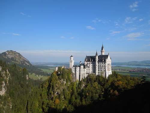landscape aerial view of castle inside forest during daytime castle