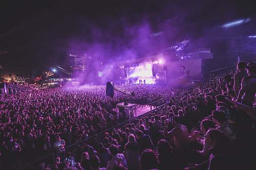 music group of people attending a performance concert