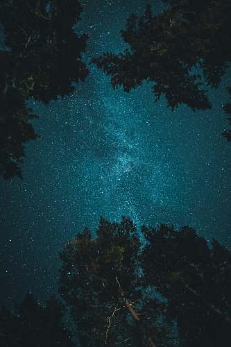 nature starry night outdoors