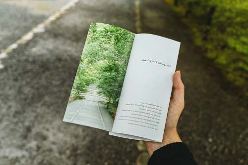 person person holding book book