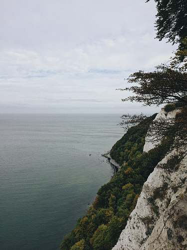 outdoors body of water beside trees during daytime cliff