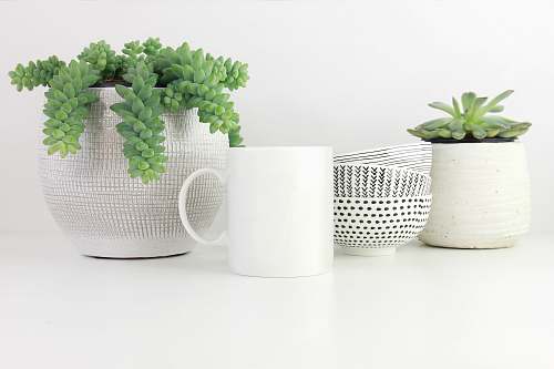 art white ceramic cup on white surface porcelain