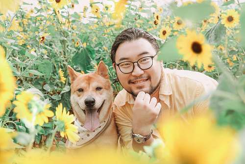 accessory photography of smiling beside brown dog near sunflower field during daytime glasses