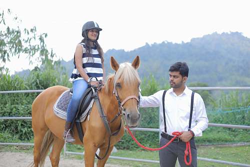 horse man standing in front of brown horse with woman astride mammal