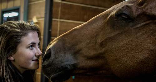 human woman standing in front of brown horse person
