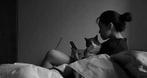 human woman holding cat while using smartphone on bed grey