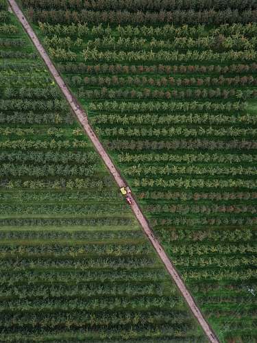 england bird's eye photography of trees almondsbury