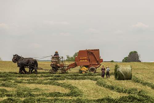 farm woman standing near brown combine harvester hay