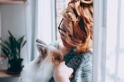 person girl feeding white and brown rabbit in room human