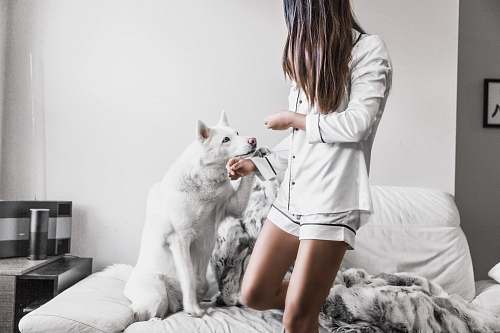 person woman standing beside white dog sitting on sofa human