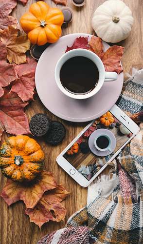 autumn  food