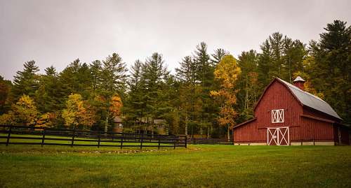 barn barn surrounded by trees woods