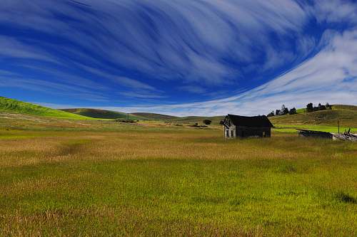 field house on green grass field pasture