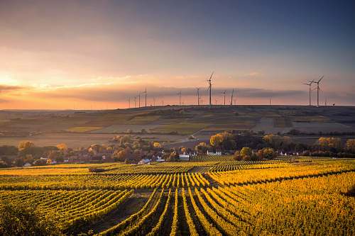 field structural shot of wind mills during daytime turbine