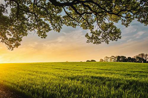 horizon landscape photography of field clouds