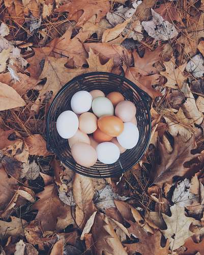farm white and brown eggs eggs