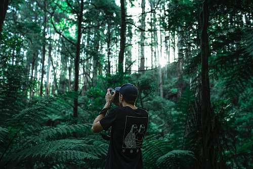 nature person taking photo using black camera under green leaf trees at daytime tree